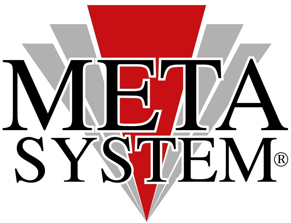 MetaSystem